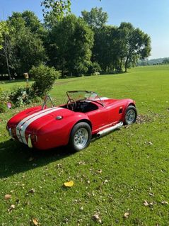 Year: 1965 Make: Ford Model: Cobra Mileage: 6002