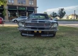 Shelby GT350 Tribute