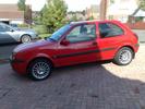 the beasty fiesta lol