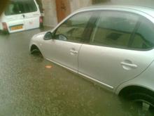 water logged leon