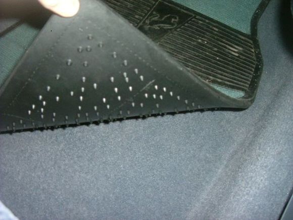 Cleeean freak! OCD?
