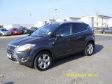 MY NEW KUGA TITANIUM.