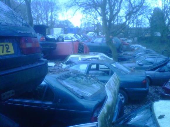 IMG00125 20110216 1237