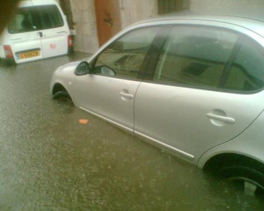 water logged leon