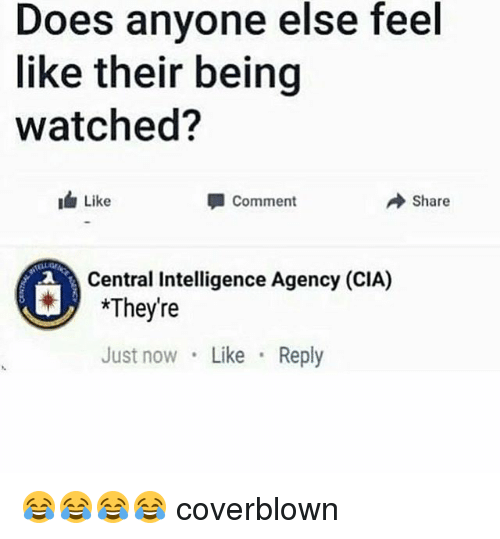 does_anyone_else_feel_like_their_being_watched_like_comment_29136860_ccf7cc48b362a092c67f98ab65d80070da8dba71.png