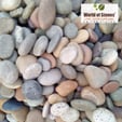 https://wos.worldofstonesusa.com/paving-stone/pebbles  for sale $20 