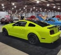 2005 Ford Mustang GT 5-speed Show Car  for sale $14,900 