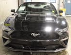 2019 Ford Mustang  for sale $31,995 