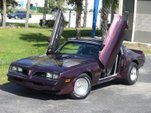 1977 Pontiac Firebird  for sale $62,995 