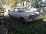 1981 Dodge  for sale $5,695 