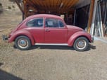 1967 Volkswagen Beetle  for sale $12,495 