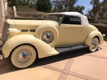 1937 Packard 120  for sale $82,995 
