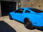 Beautiful 1000rwhp+ Mustang  