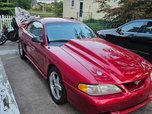 1995 Ford Mustng GTS  for sale $15,000 