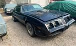 1979 Pontiac Trans Am  for sale $23,995 