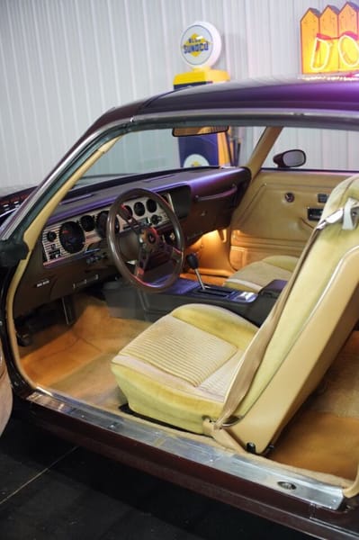 1981 Pontiac Firebird  for Sale $30,900 