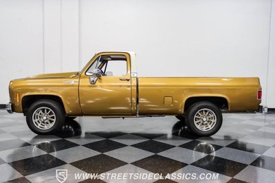 1979 Chevrolet C10  for sale $19,995 