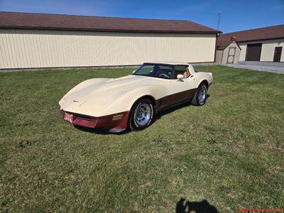 1981 Chevrolet Corvette  for sale $19,000 