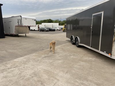 United CLASSIC 8.5x24 Racing Trailer  for sale $15,495 