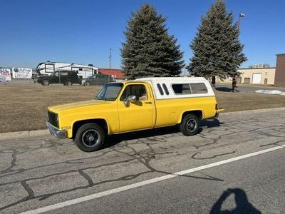 1981 Chevrolet Silverado  for sale $10,495 