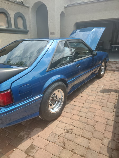 1991 Mustang 