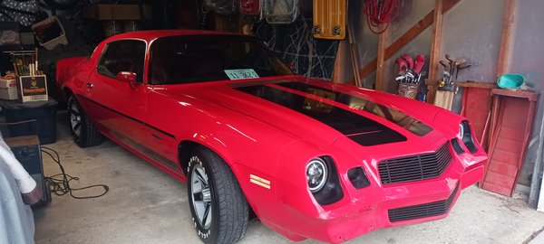 1981 Chevrolet Camaro  for Sale $11,500 