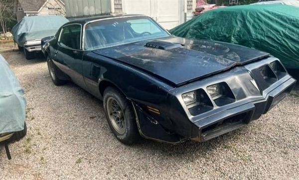 1979 Pontiac Trans Am  for Sale $23,995 