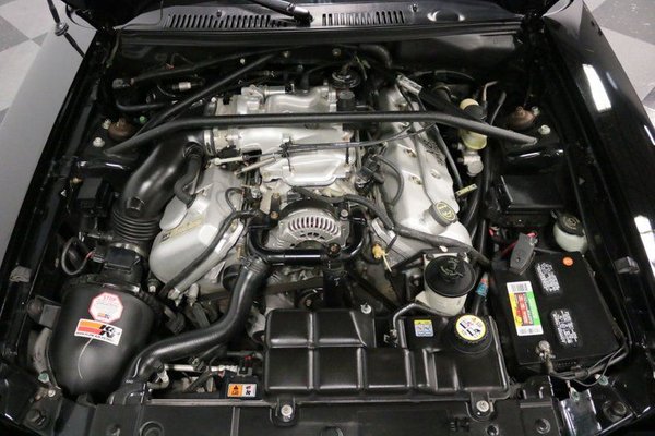 2001 Ford Mustang SVT Cobra for Sale $18,995