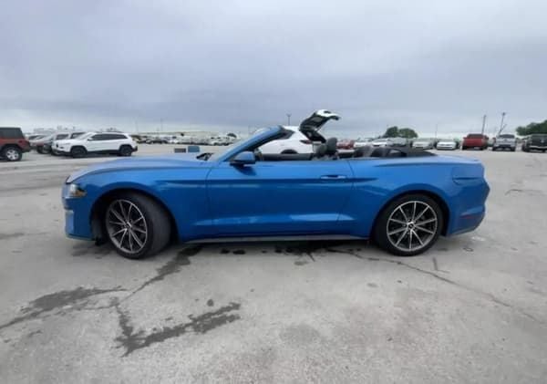 2019 Ford Mustang  for Sale $22,500 