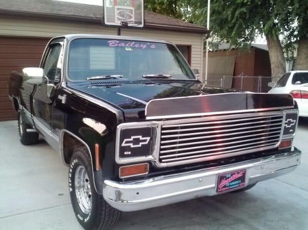 1974 Chevrolet Pickup  for Sale $7,495 