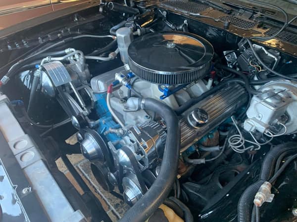 1979 Pontiac Firebird  for Sale $24,900 