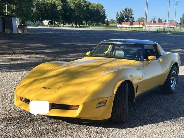 1981 Chevrolet Corvette  for Sale $21,995 