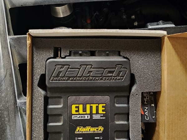 Haltech Elite 2500T With LS Wiring Harness