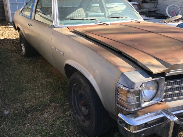 1978 Buick Skylark  for Sale $1,500 