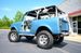 International Scout Beach Buggy Dream