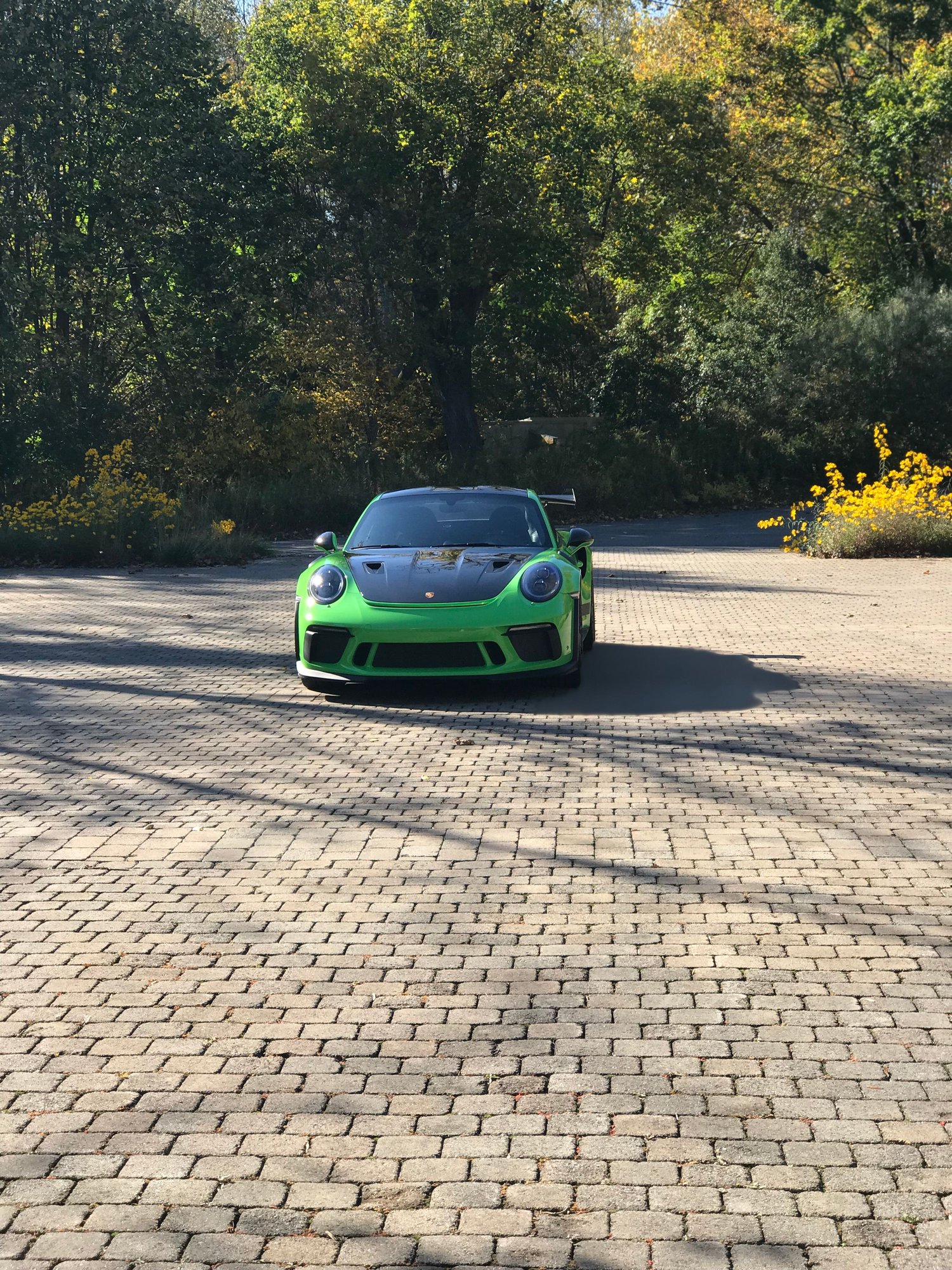 2019 Porsche GT3 - 2019 Porsche GT3RS Lizard Green Weissach - Used - VIN WP0AF2A96KS164212 - 510 Miles - 6 cyl - 2WD - Manual - Coupe - Other - Monkton, MD 21111, United States
