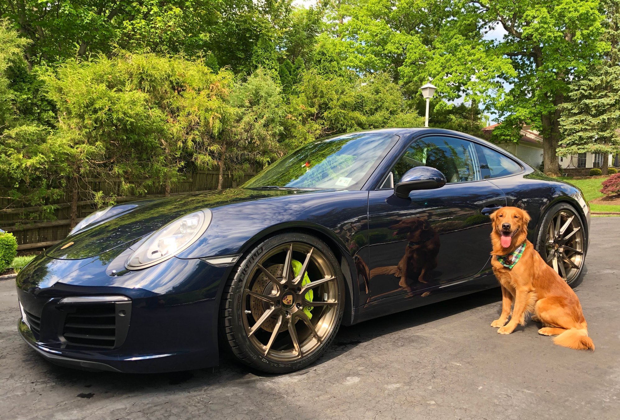 puppymobile