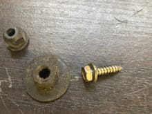 screw hold mine is like the screw on the right The two plastic nuts are the 2 different 10mm nuts used elsewhere 