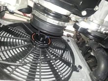 New all aluminum race radiator and moshimoto low profile fan