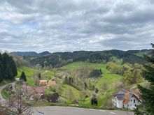 View of the Black Forrest from lunch on Sunday