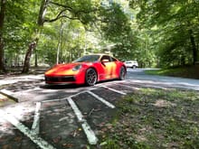 I have seen my 992 look a nice Red, an Orange-ish color BUT NEVER this.  Taken today in the Smokies at Metcalf Bottom.   