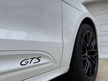 Black "GTS" on white side blades