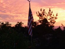 My Post Pictures