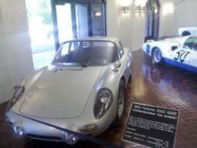 Palmaz 044