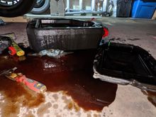 transmission fluid service murder scene lol