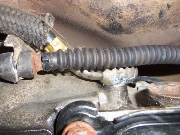 Connection on the driver's side of the transmission, showing new hose, brass crimp, and braided sleeving.