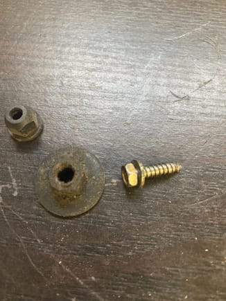 screw hold mine is like the screw on the right The two plastic nuts are the 2 different 10mm nuts used elsewhere 