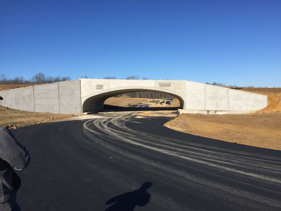 Looking from T12 back into the tunnel.