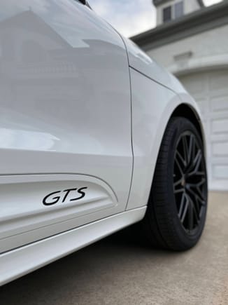 Black "GTS" on white side blades