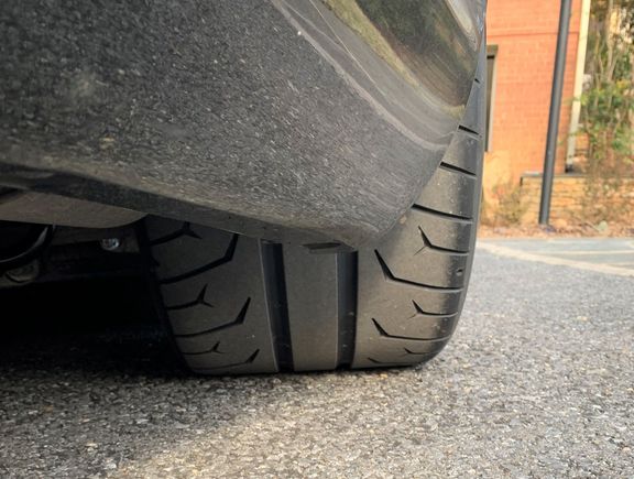 Big fatty in the rear